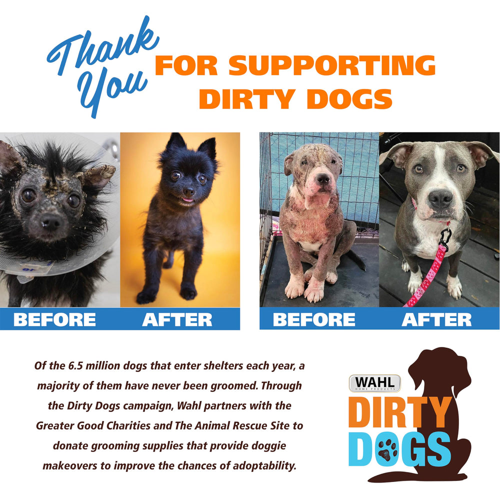 After-grooming dog coat showing Wahl results: smooth, shiny, and manageable fur