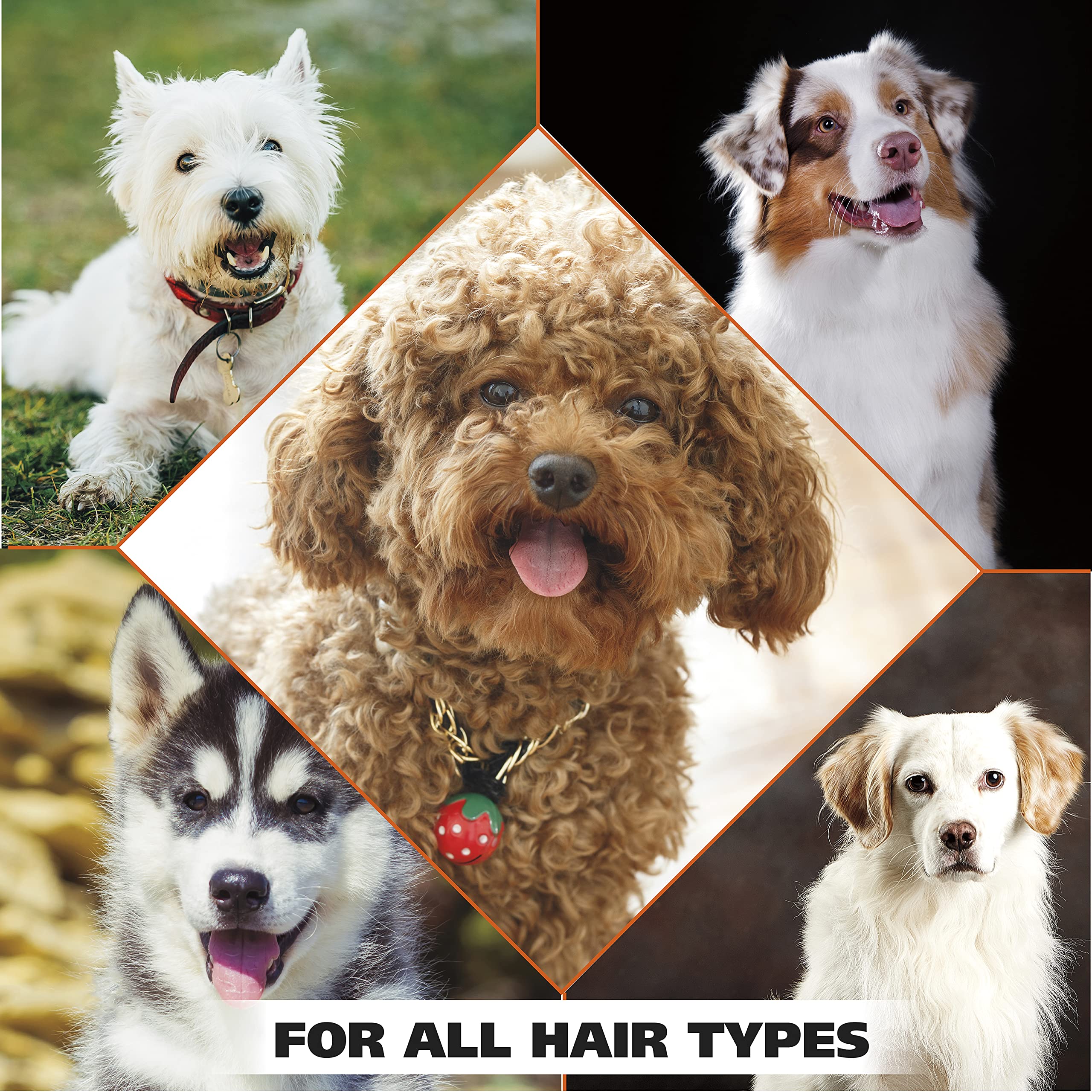 Visual of key plant-derived ingredients for Wahl indicating gentle, plant-based benefits