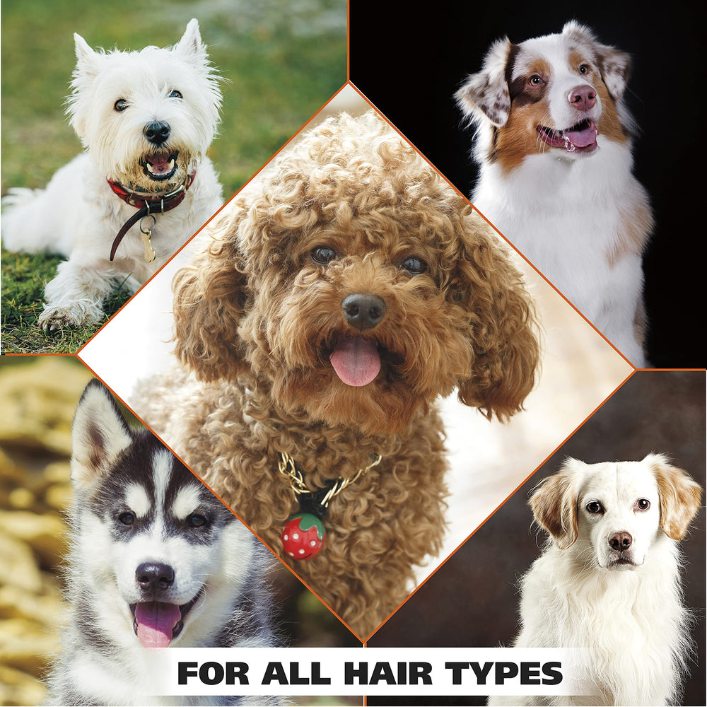 Visual of key plant-derived ingredients for Wahl indicating gentle, plant-based benefits