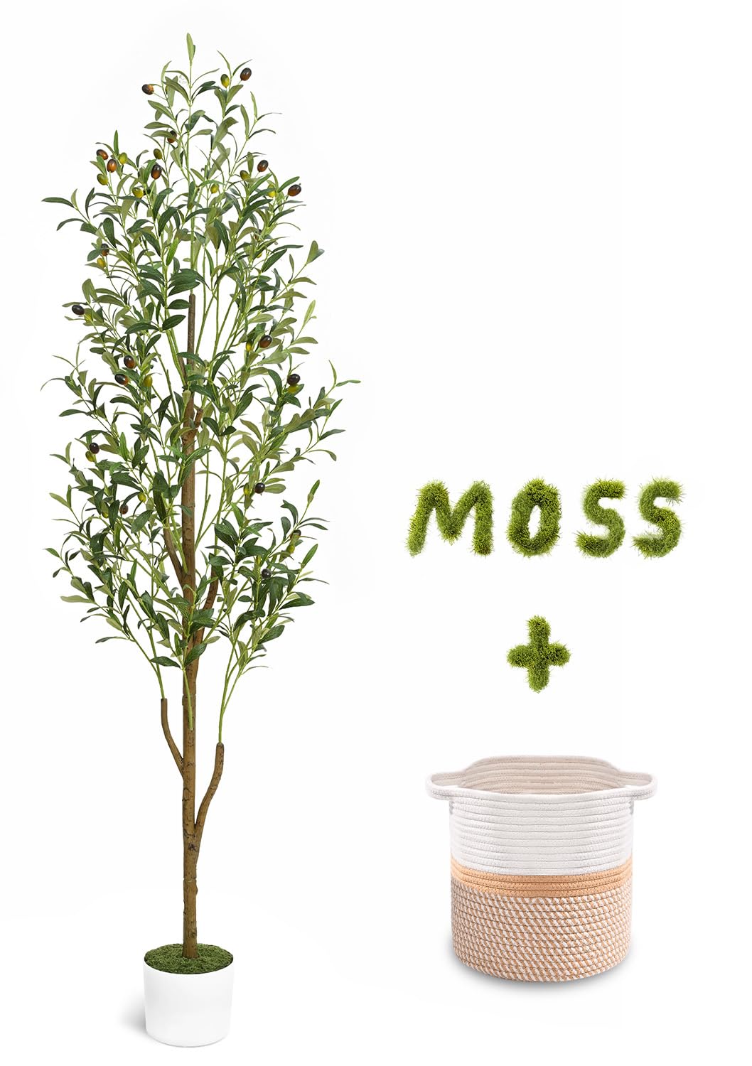 Waipfaru artificial olive tree front view shows realistic height and instant style