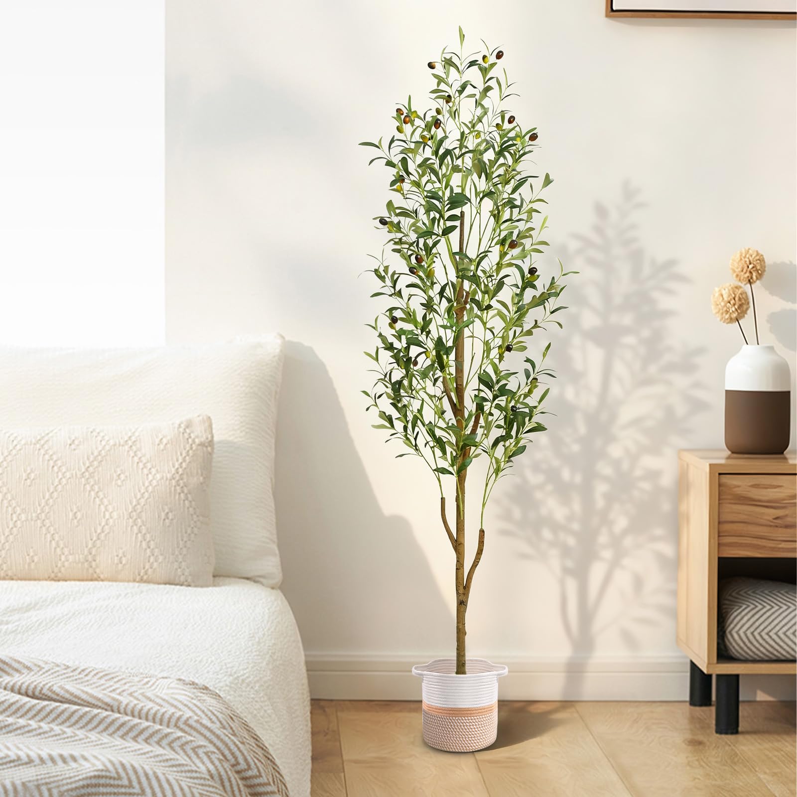 Waipfaru olive tree in styled living room adds Mediterranean charm and warmth