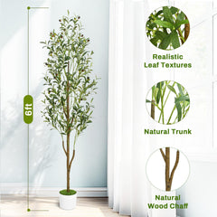 Waipfaru olive fruit detail demonstrates glossy realistic finish and visual depth