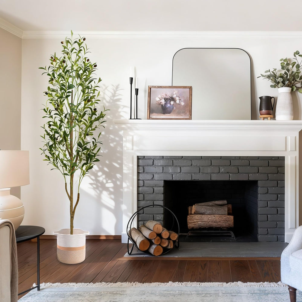 Waipfaru tree next to sofa shows scale and curb appeal in living spaces