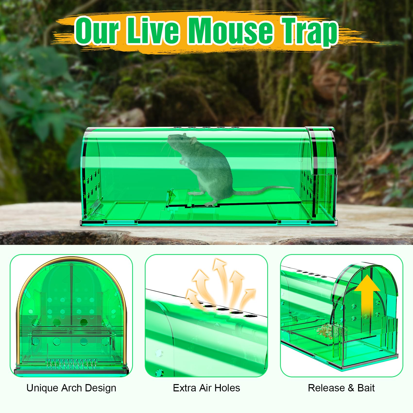 Wanqueen trap set with bait placed along a baseboard demonstrating in-home use