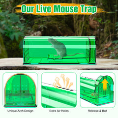 Wanqueen trap set with bait placed along a baseboard demonstrating in-home use