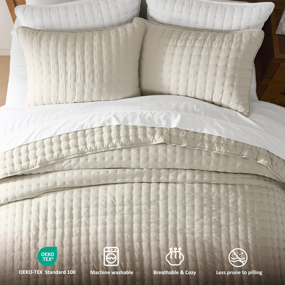 WDCOZY label with OEKO‑TEX certification emphasizing safer textiles