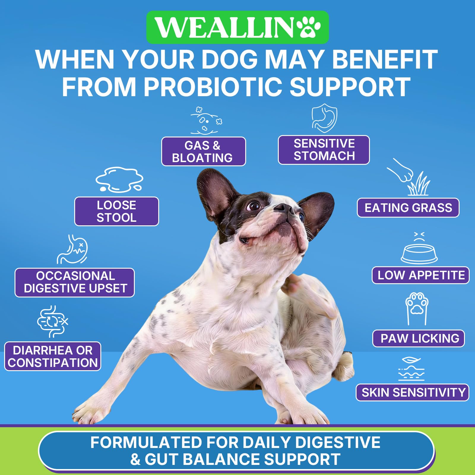 WEALLIN close-up of chew texture highlighting soft chewability