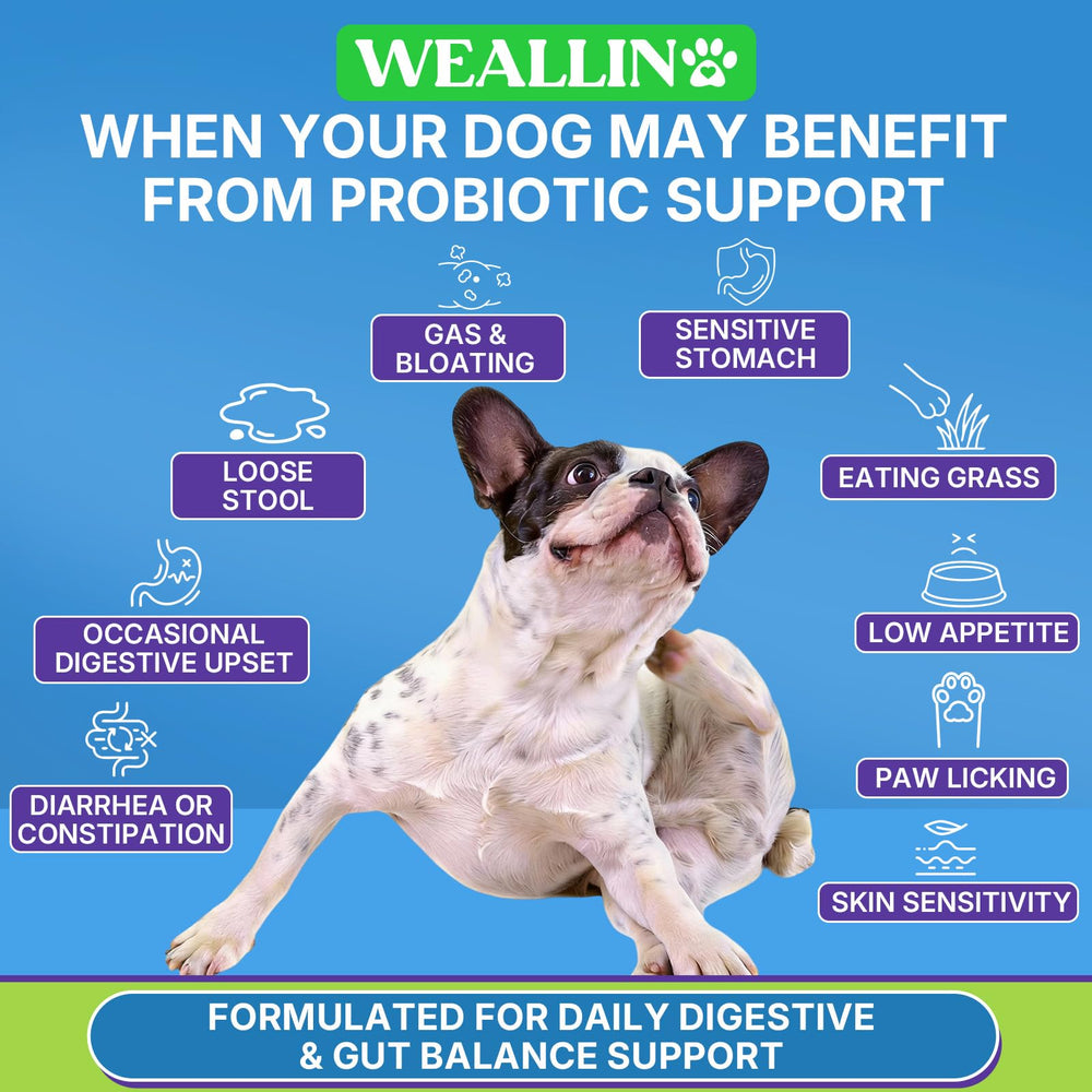 WEALLIN close-up of chew texture highlighting soft chewability