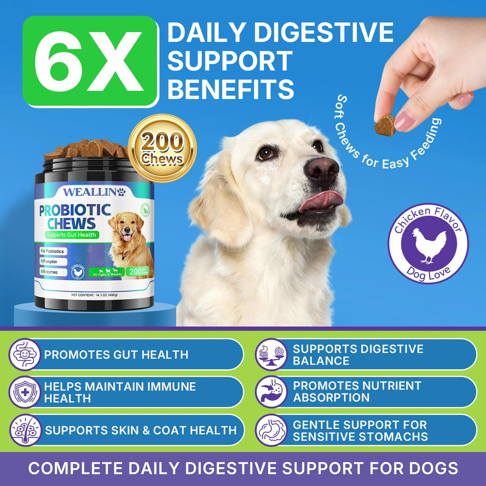 WEALLIN open jar of soft chews displaying quantity and texture