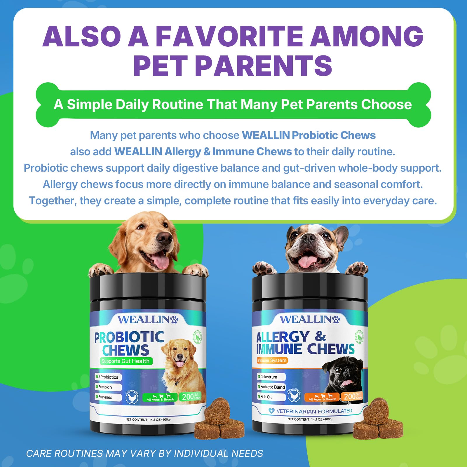 WEALLIN senior dog accepting chew showing gentle formula benefit