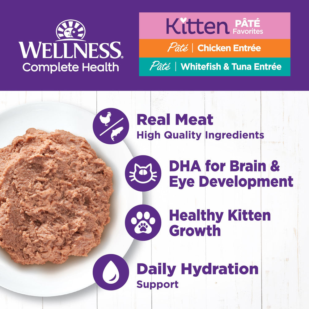 Wellness chicken pate close-up texture showing moist protein-rich consistency