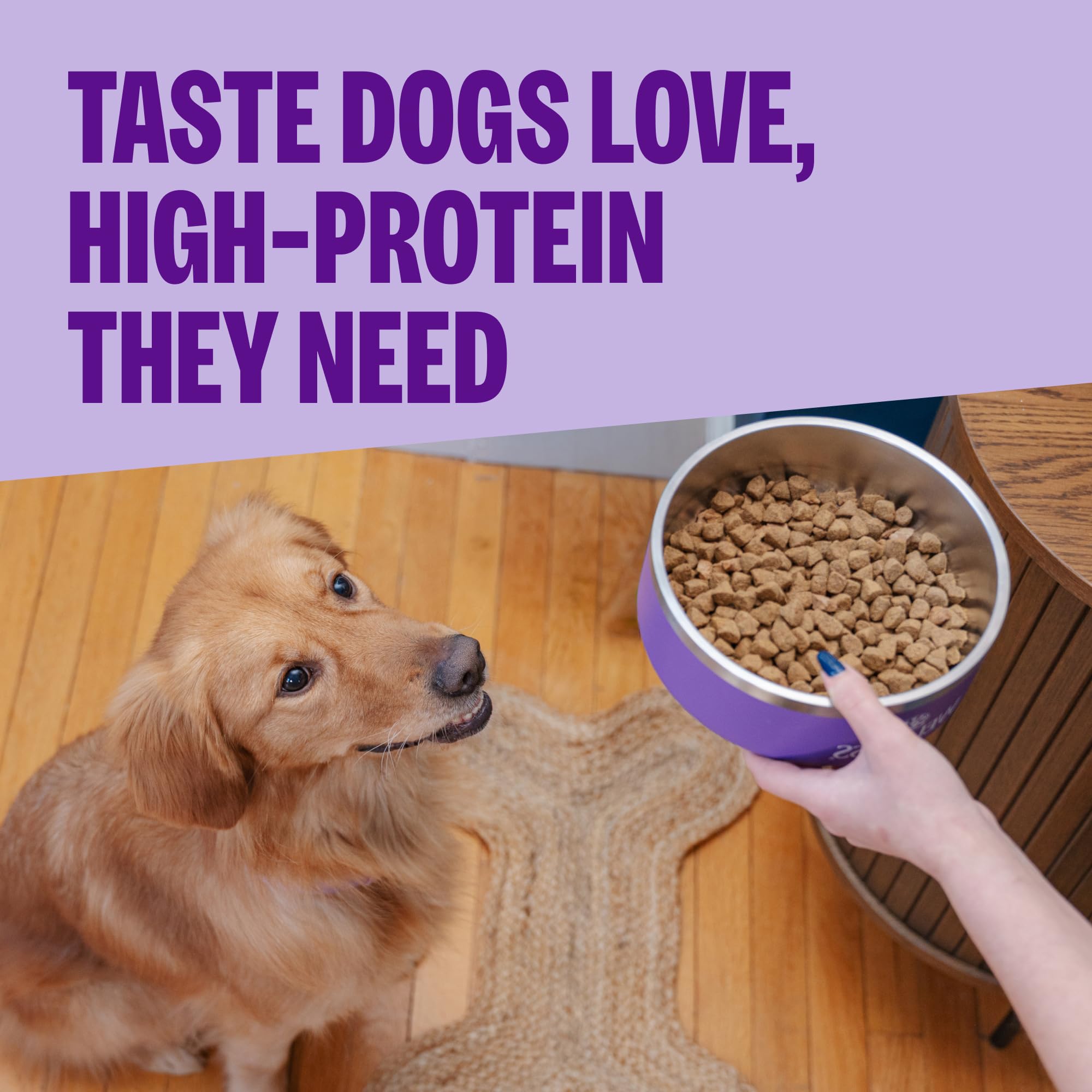 Wellness CORE kibble beside spoon to show small-breed size benefit