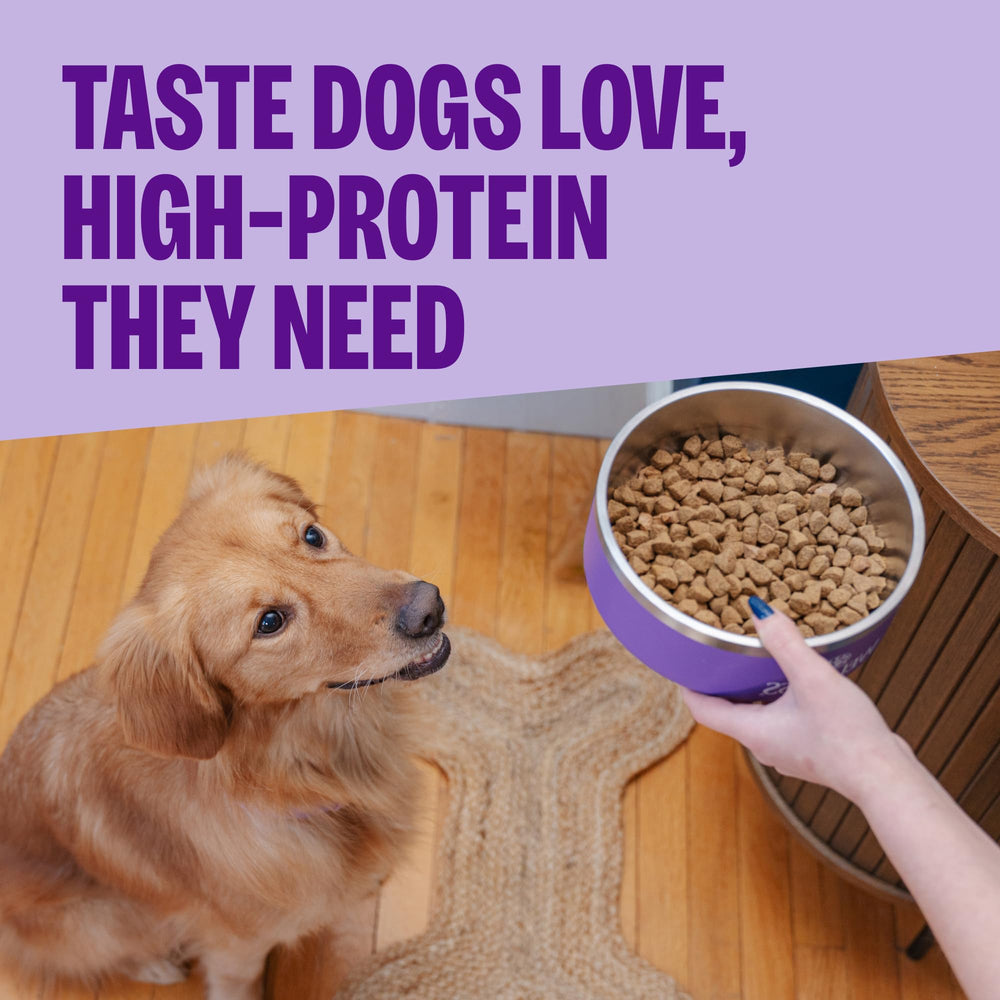 Wellness CORE kibble beside spoon to show small-breed size benefit
