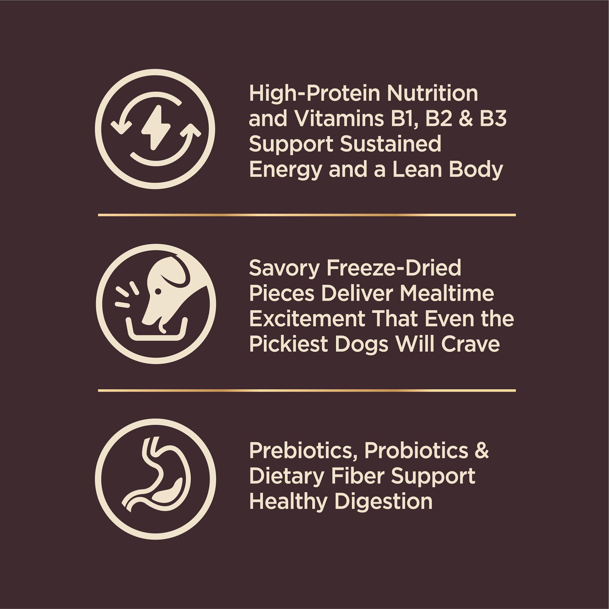 Wellness CORE+ served in bowl to demonstrate portion and mealtime appeal