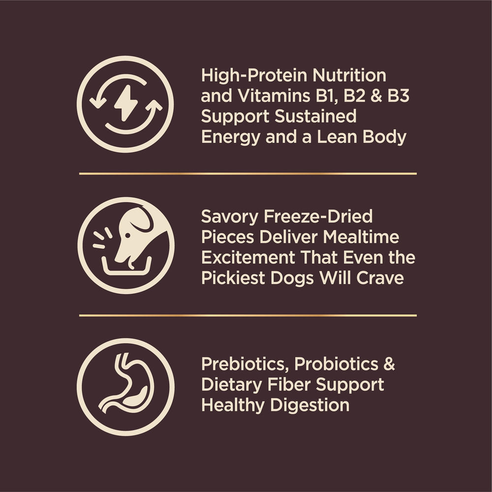 Wellness CORE+ served in bowl to demonstrate portion and mealtime appeal