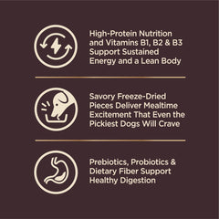 Wellness CORE+ served in bowl to demonstrate portion and mealtime appeal