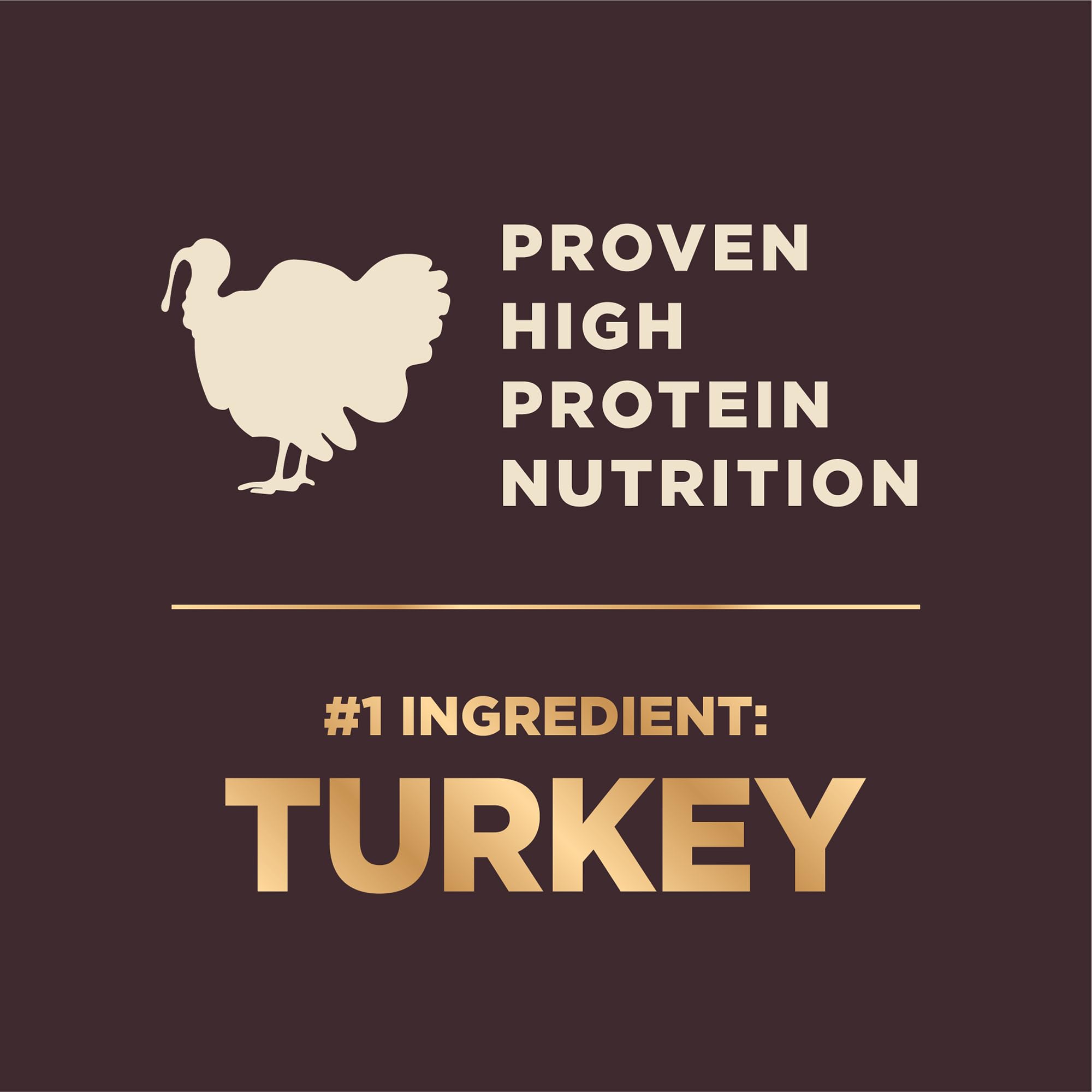 Wellness CORE+ close-up of kibble texture highlighting small-breed friendly size