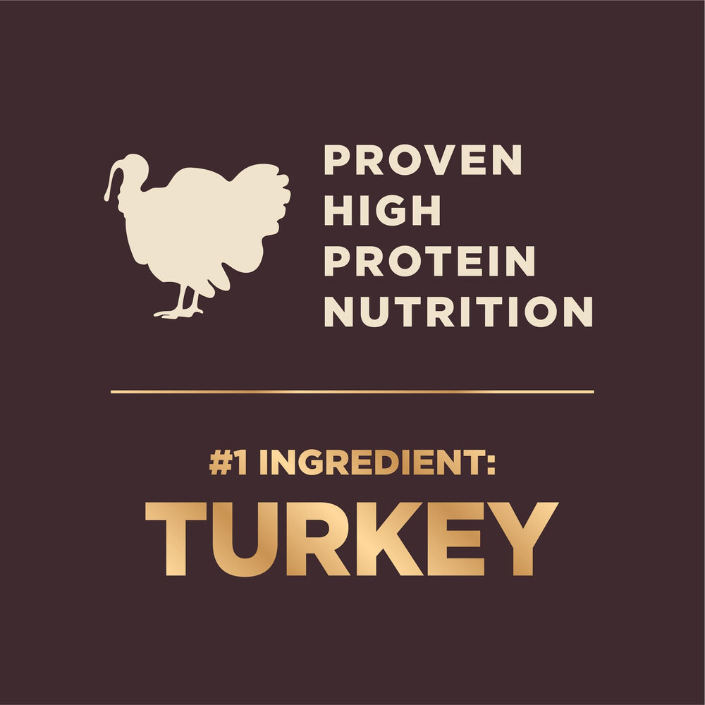 Wellness CORE+ close-up of kibble texture highlighting small-breed friendly size