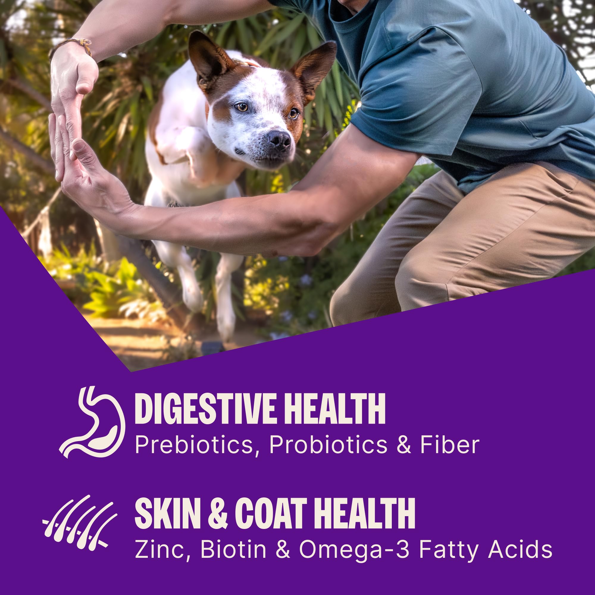 Wellness kibble in hand demonstrating small-breed sized bites