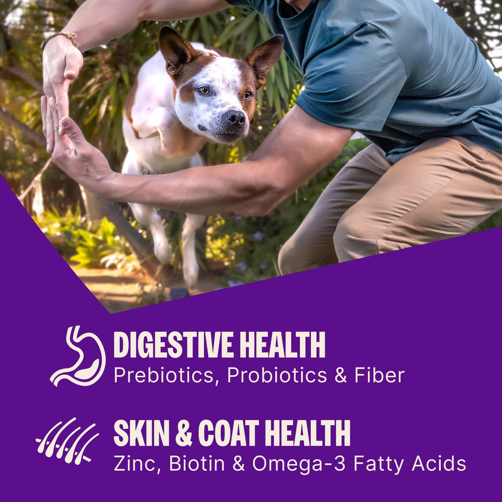 Wellness kibble in hand demonstrating small-breed sized bites
