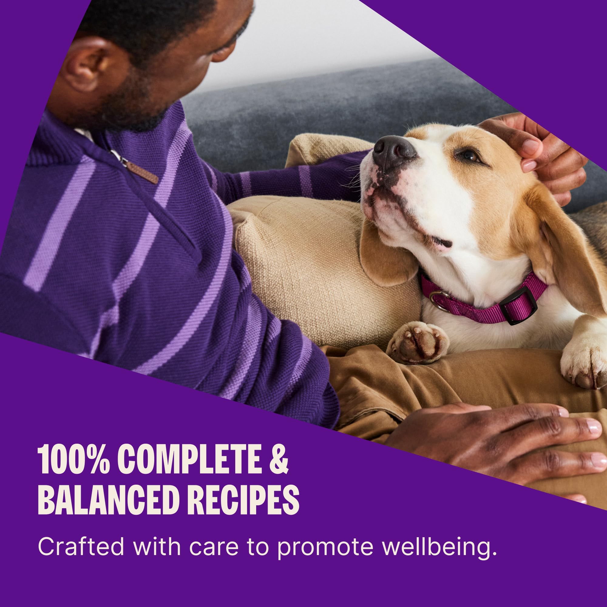 Wellness kibble size shown in hand for portion guidance