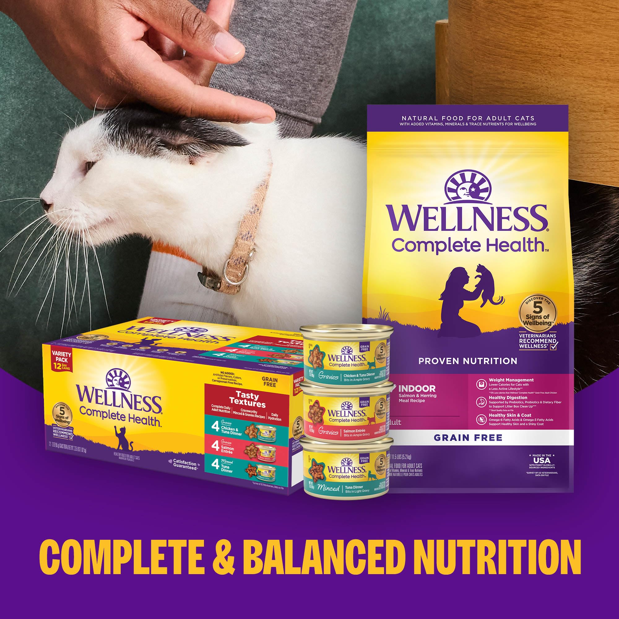 Wellness lifestyle with kitten and bowl showing mealtime enjoyment and bonding
