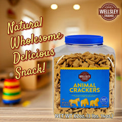 Wellsley Farms close-up of cracker texture showing light crunchy bite
