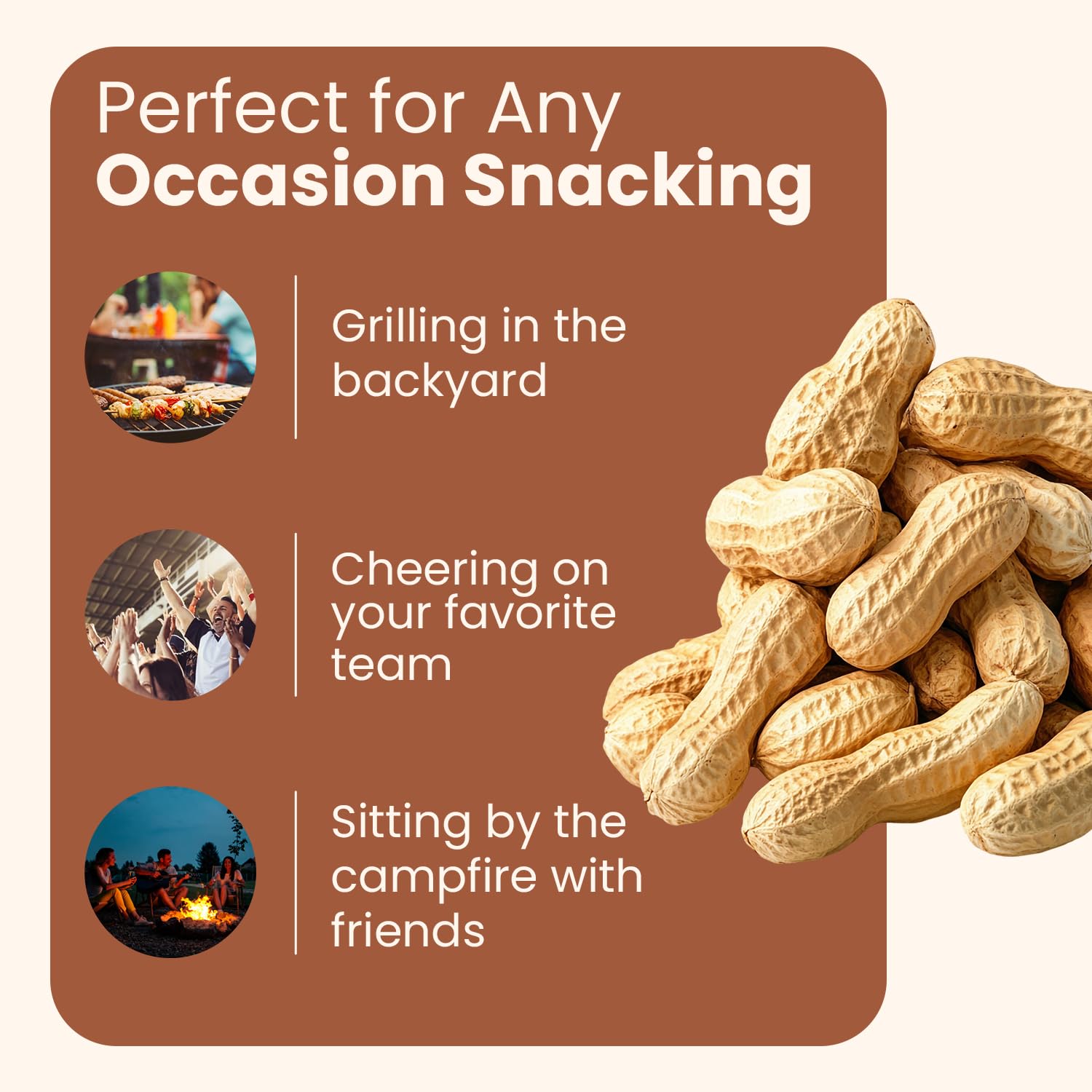 Wellsley Farms peanuts in a resealable bag for travel convenience