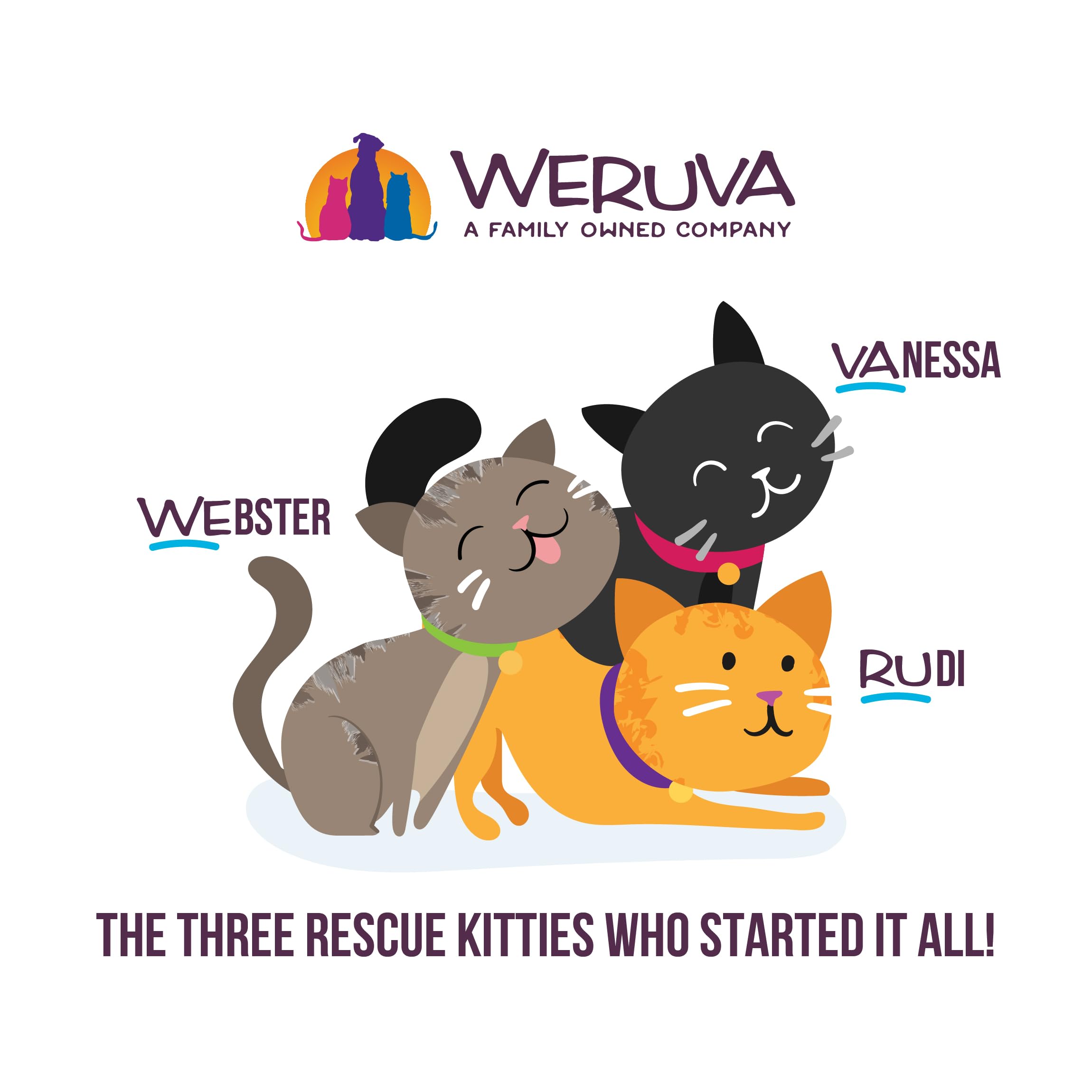 Weruva kitten eating from bowl in home setting illustrating palatability and nourishment