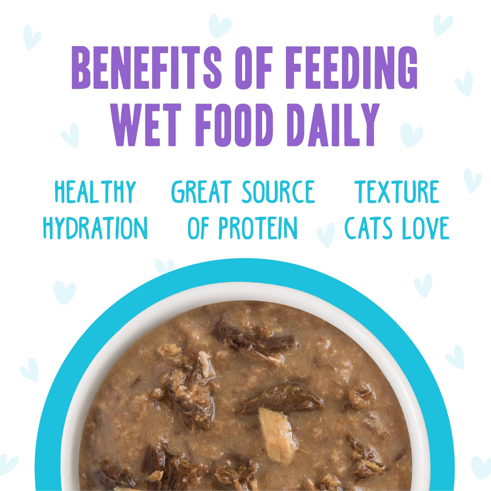 Weruva single portion served in bowl for accurate portion control