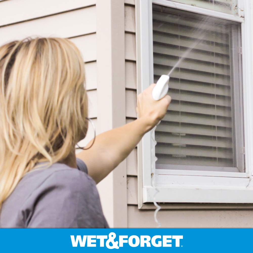 Wet & Forget in a garage setting showing effective spider control for home