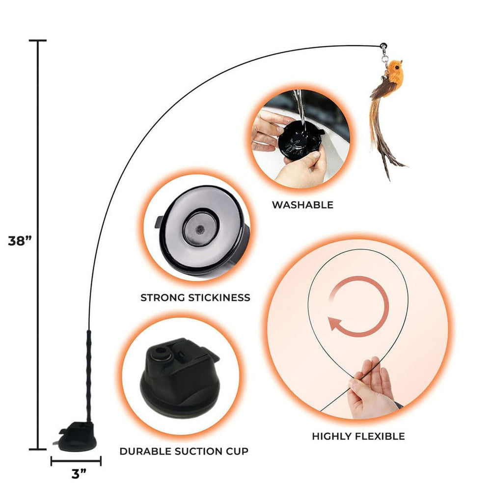 Whiskertons size comparison with a cat to show scale and fit