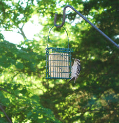 Wildlife Sciences suet cake in feeder with birds, attracting more visitors