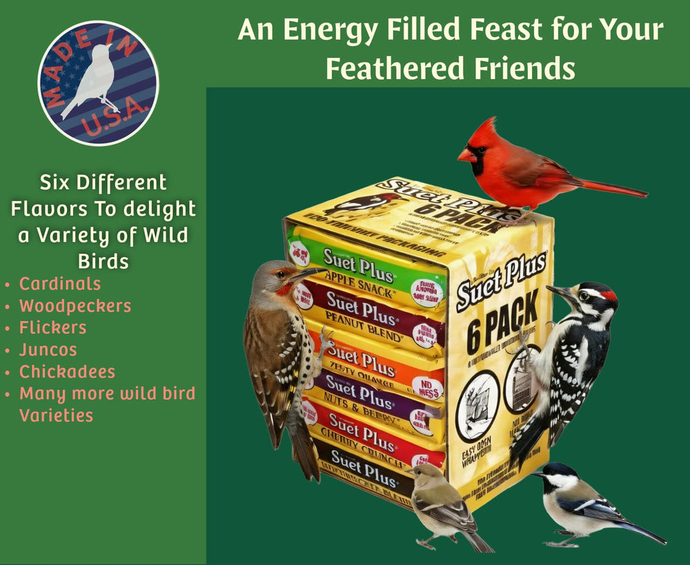 Wildlife Sciences suet cake installed in metal feeder attracting songbirds