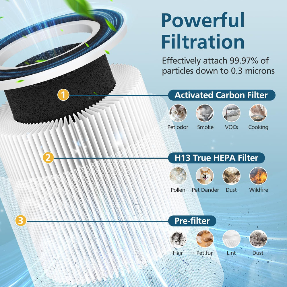 WILERDA visible activated carbon layer detail emphasizing odor adsorption benefit