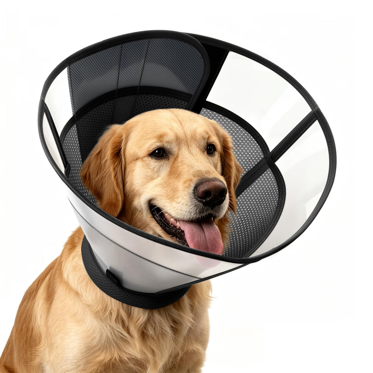 WinWeal front view showing full collar and comfortable fit benefit