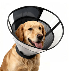 WinWeal front view showing full collar and comfortable fit benefit
