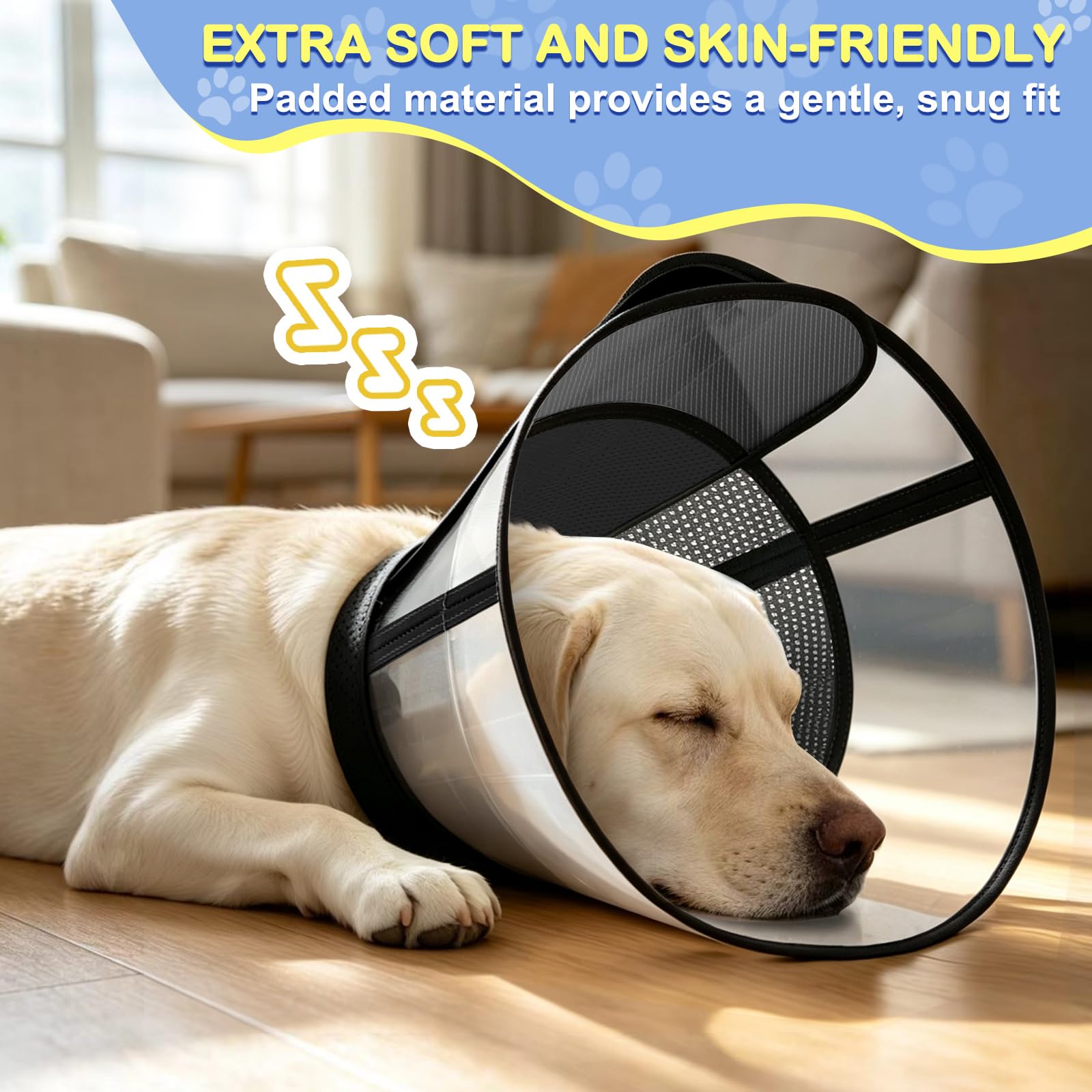 WinWeal dog wearing cone in a home setting for calm recovery