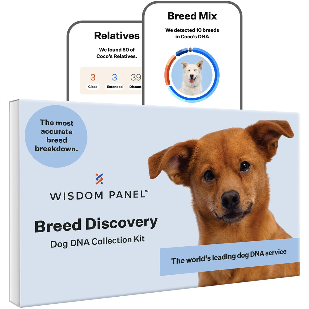 Wisdom Health kit box front showing product branding and benefit
