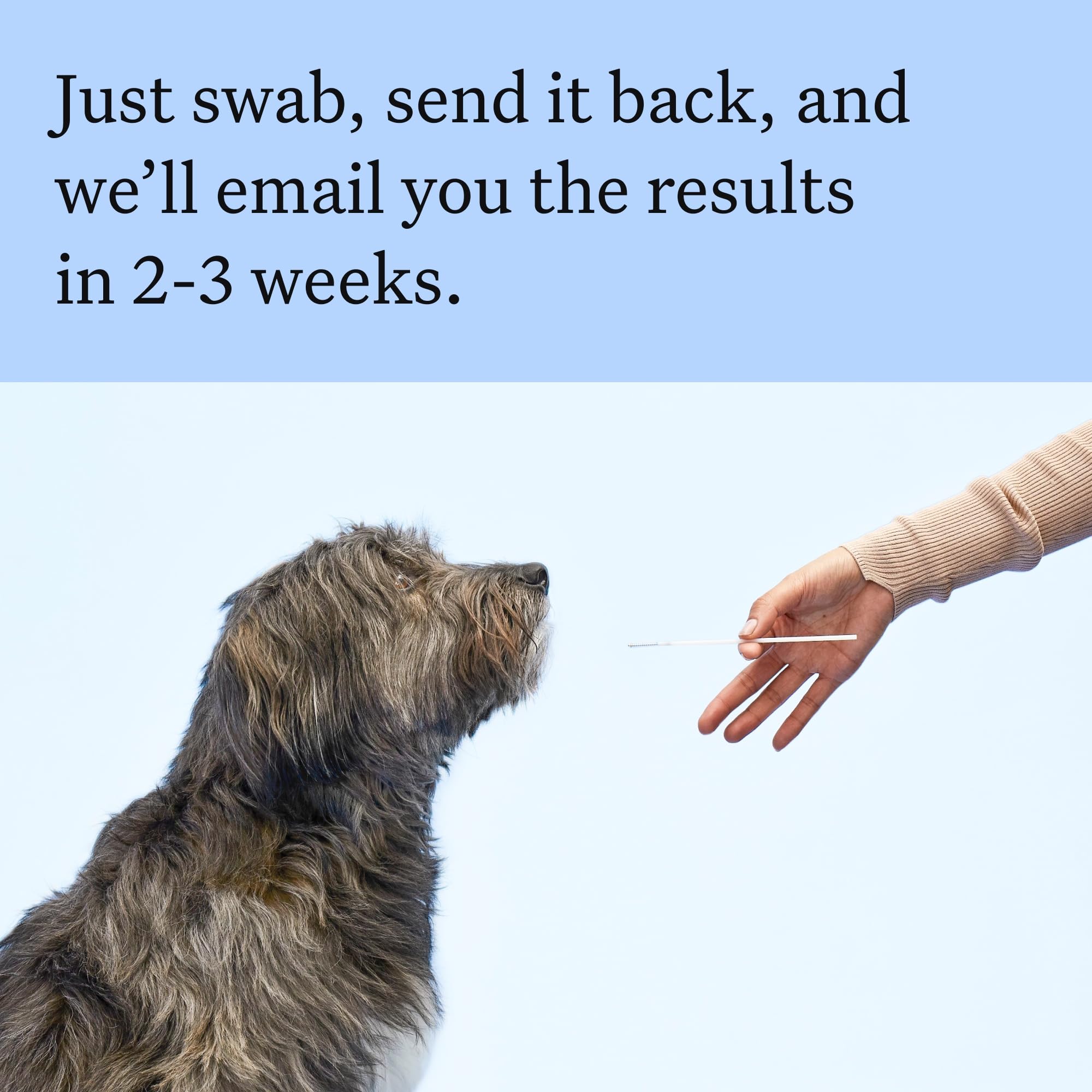 Wisdom Health dog being swabbed with clear instructions for accuracy