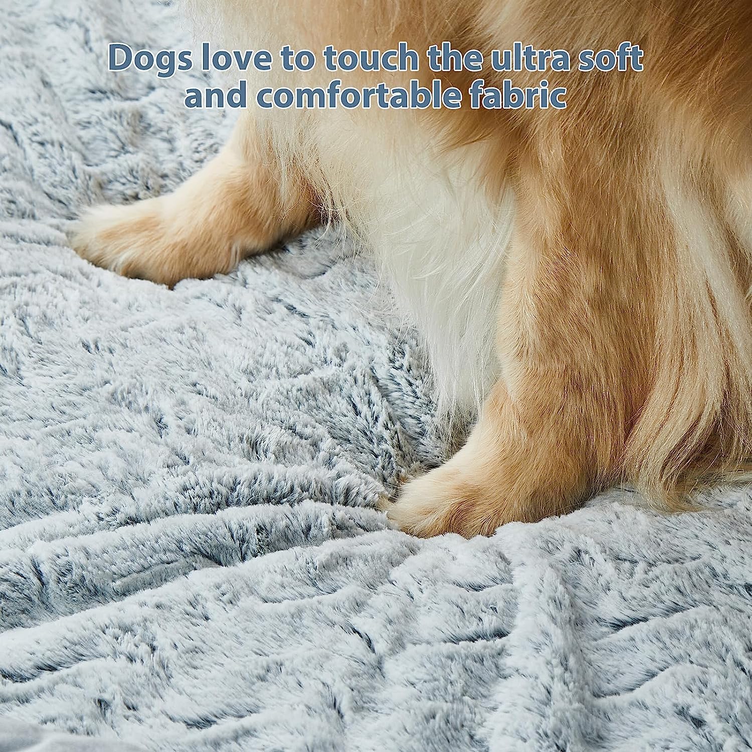 WNPETHOME bed beside large dog showing accurate size fit