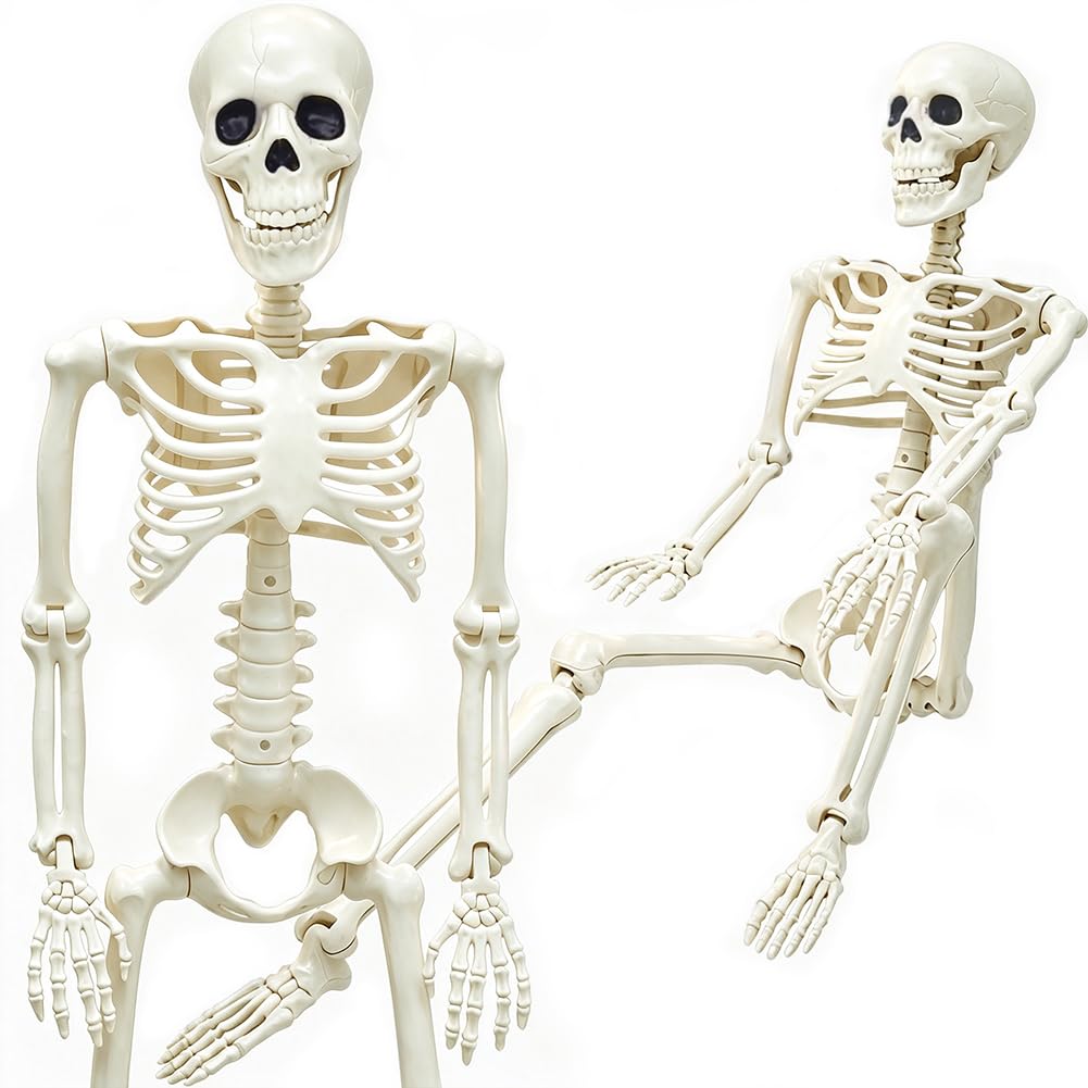 WODMAZ skeleton front view showing full 3ft figure and spooky presence