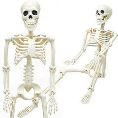 WODMAZ skeleton front view showing full 3ft figure and spooky presence
