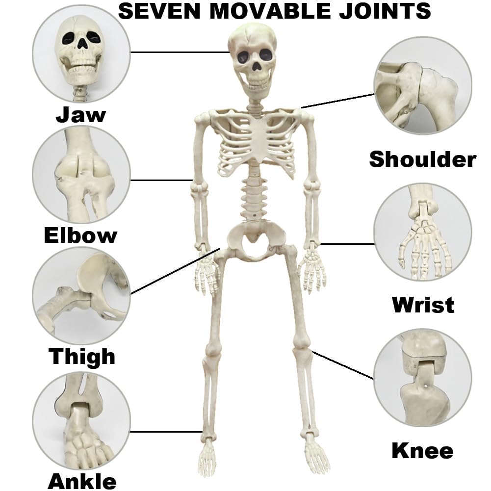 WODMAZ skeleton seated on stairs offering a realistic prank setup