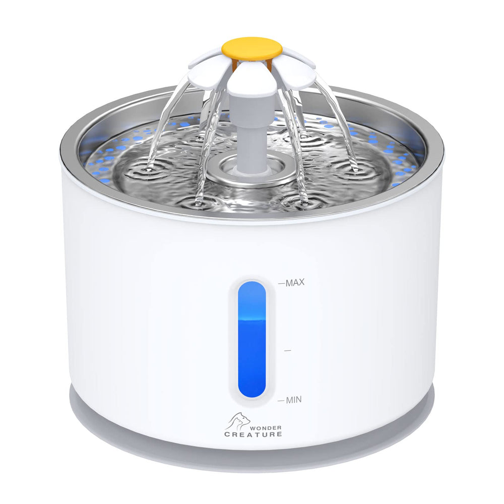 Wonder Creature front view showing stainless lid and 81oz capacity for cleaner drinking
