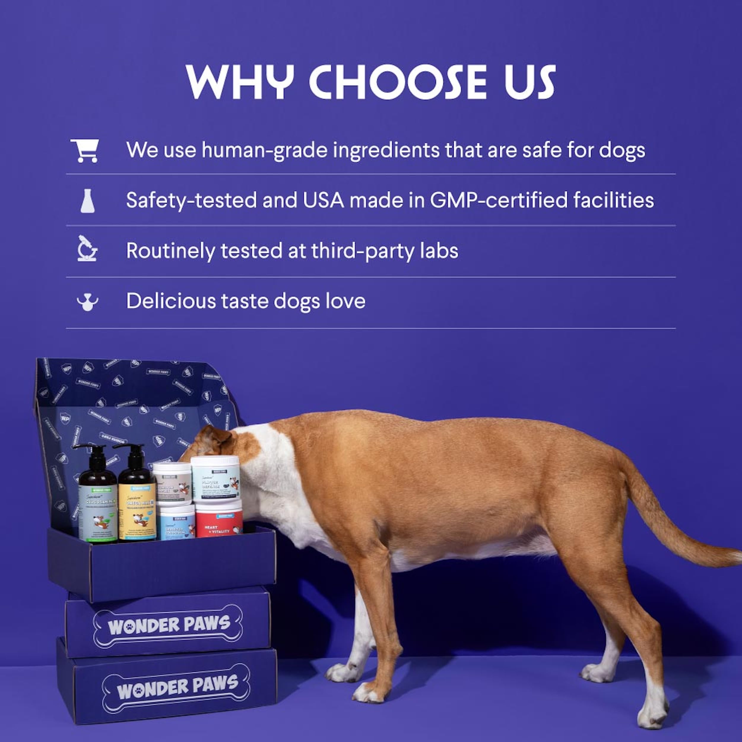 WONDER PAWS being added to a dogs water bowl to support mobility