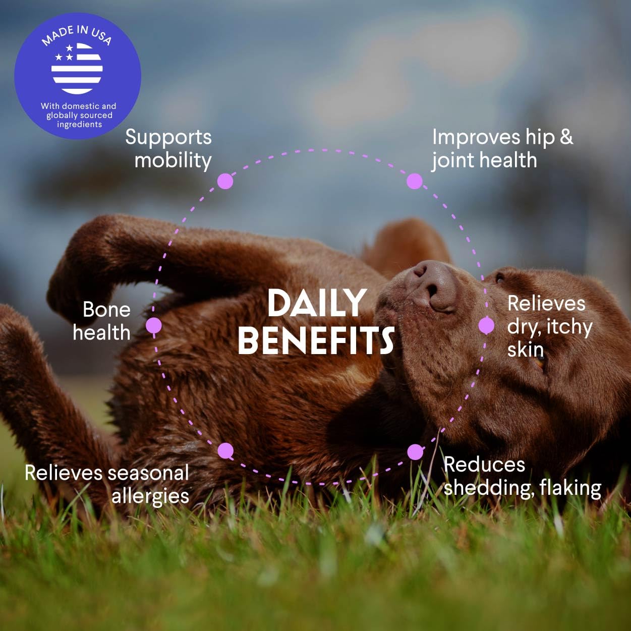 WONDER PAWS pouring salmon oil into dog bowl to boost meal nutrition and palatability