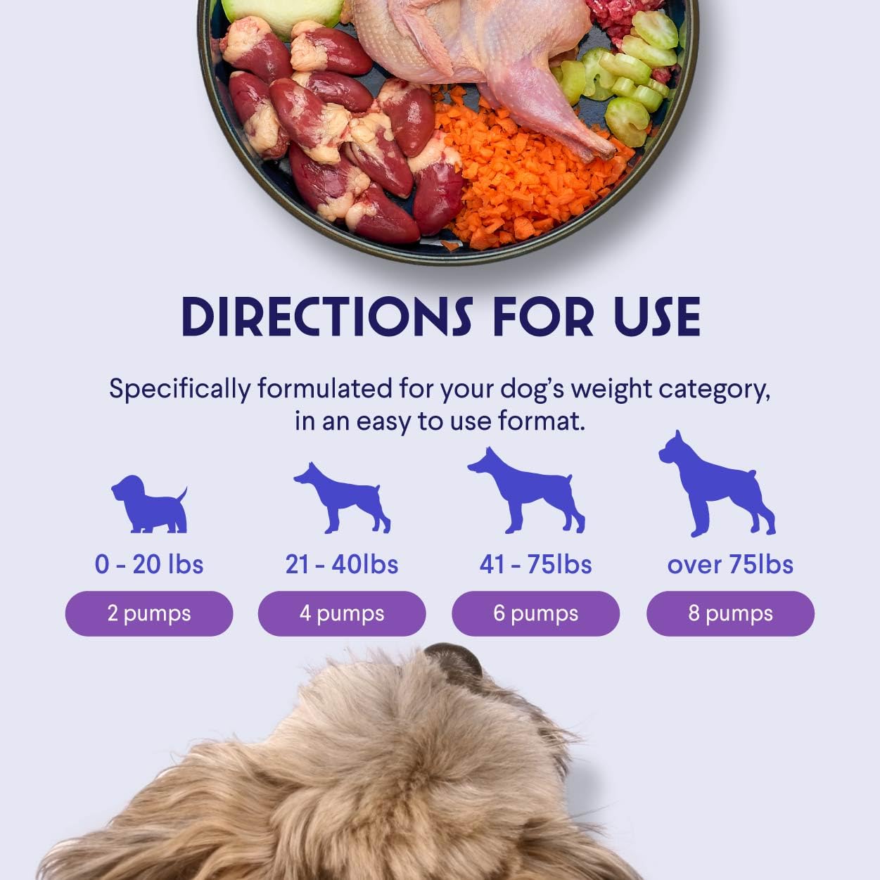 WONDER PAWS pump close-up for accurate dosing and mess-free application