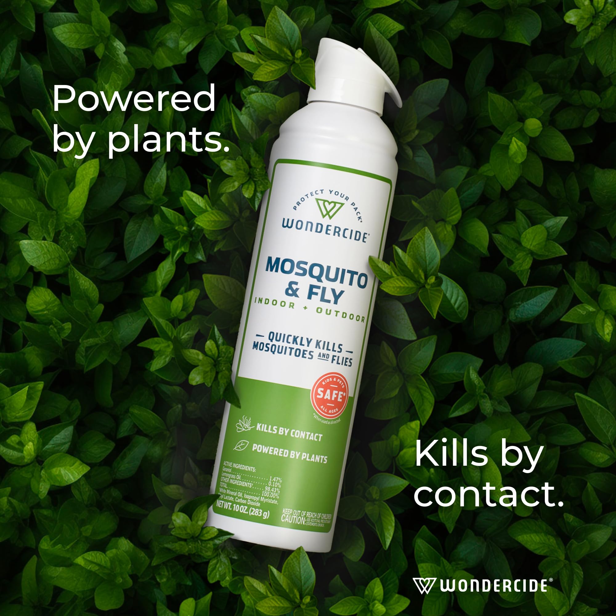 Wondercide aerosol used in a kitchen to reduce flies near food prep areas