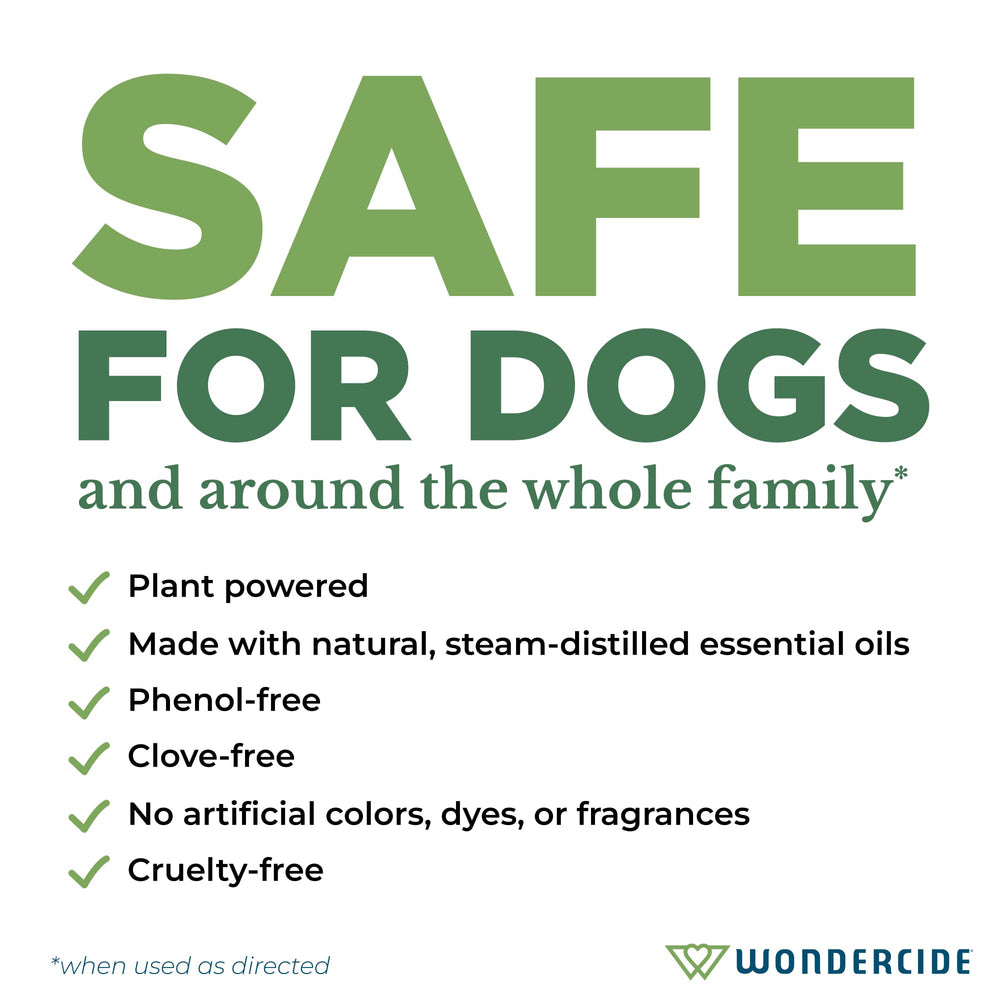 Large dog wearing Wondercide collar outdoors showing comfortable, natural repellency